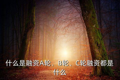 什么是融資A輪、B輪、C輪融資都是什么