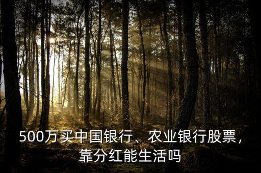 500萬(wàn)買中國(guó)銀行、農(nóng)業(yè)銀行股票，靠分紅能生活嗎