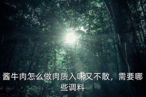 醬牛肉怎么做肉質(zhì)入味又不散，需要哪些調(diào)料