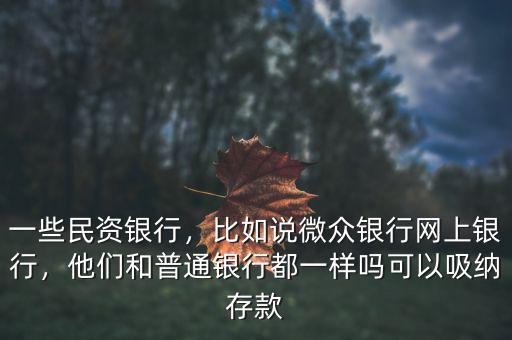 一些民資銀行，比如說微眾銀行網(wǎng)上銀行，他們和普通銀行都一樣嗎可以吸納存款