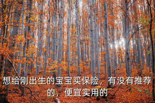 想給剛出生的寶寶買保險(xiǎn)，有沒(méi)有推薦的，便宜實(shí)用的