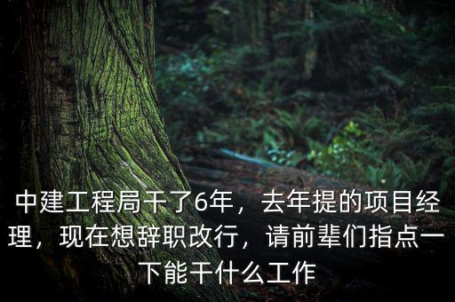 中建工程局干了6年，去年提的項目經(jīng)理，現(xiàn)在想辭職改行，請前輩們指點一下能干什么工作