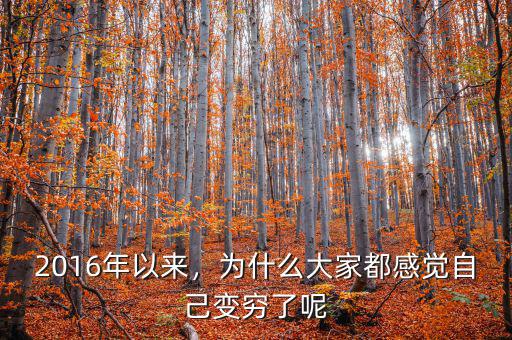 2016年以來，為什么大家都感覺自己變窮了呢