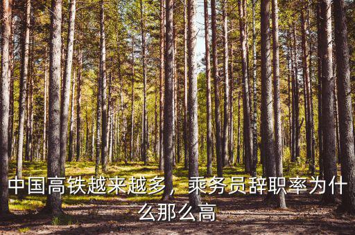 中國高鐵越來越多，乘務員辭職率為什么那么高