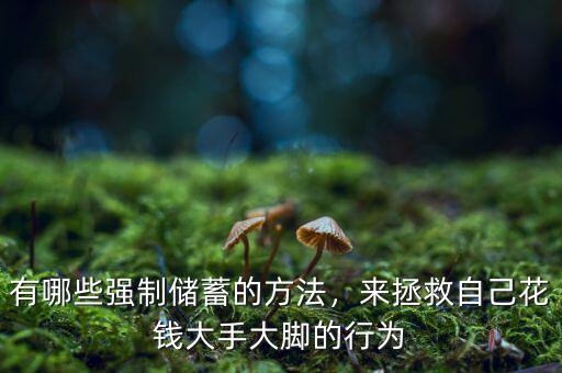 有哪些強(qiáng)制儲(chǔ)蓄的方法，來拯救自己花錢大手大腳的行為