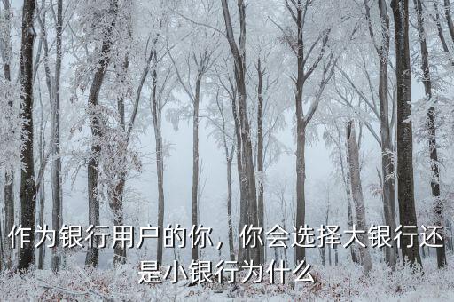 作為銀行用戶(hù)的你，你會(huì)選擇大銀行還是小銀行為什么
