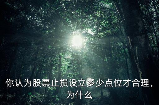 你認(rèn)為股票止損設(shè)立多少點(diǎn)位才合理，為什么