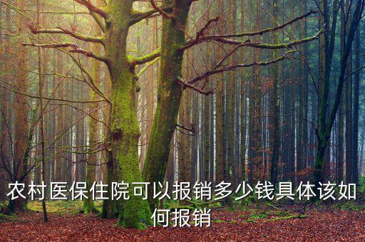 農(nóng)醫(yī)?，F(xiàn)在能報銷多少,具體該如何報銷