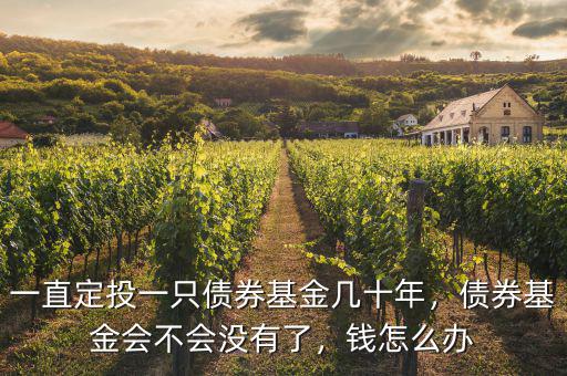 一直定投一只債券基金幾十年，債券基金會不會沒有了，錢怎么辦