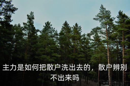 主力是如何把散戶洗出去的，散戶辨別不出來嗎