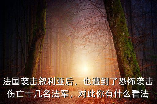 法國(guó)襲擊敘利亞后，也遭到了恐怖襲擊傷亡十幾名法軍，對(duì)此你有什么看法