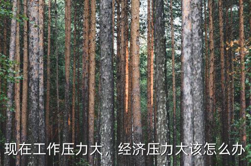 現(xiàn)在工作壓力大，經(jīng)濟壓力大該怎么辦