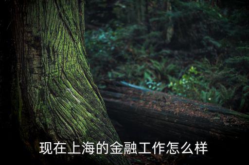 上海互信金融怎么樣,上海立信會計金融學院怎么樣