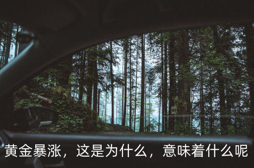 黃金暴漲，這是為什么，意味著什么呢