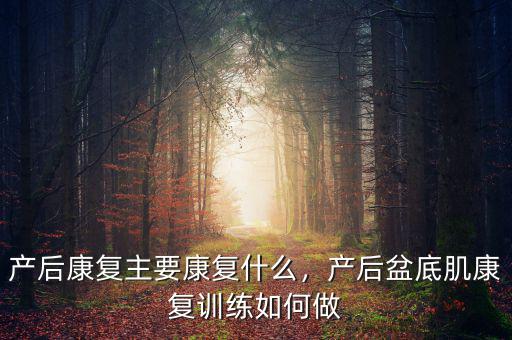 產(chǎn)后康復(fù)主要康復(fù)什么，產(chǎn)后盆底肌康復(fù)訓(xùn)練如何做