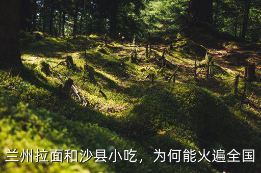 蘭州拉面和沙縣小吃，為何能火遍全國