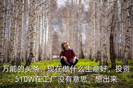 萬(wàn)能的頭條，現(xiàn)在做什么生意好，投資510W在工廠沒(méi)有意思，想出來(lái)