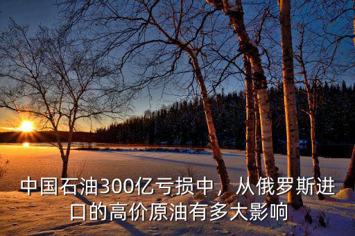 中國石油300億虧損中，從俄羅斯進(jìn)口的高價(jià)原油有多大影響