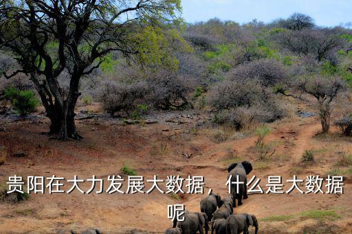 貴陽在大力發(fā)展大數(shù)據(jù)，什么是大數(shù)據(jù)呢