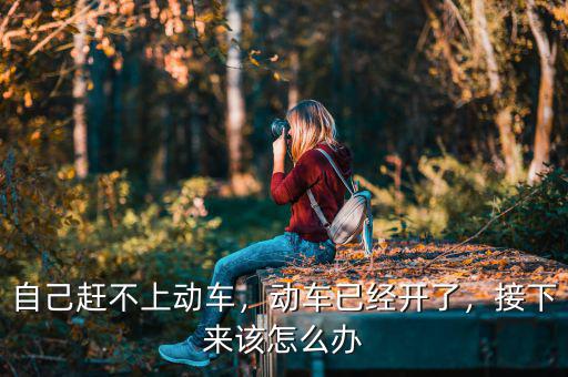 自己趕不上動車，動車已經(jīng)開了，接下來該怎么辦