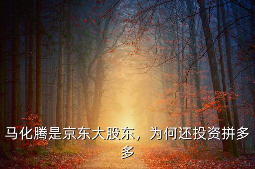 馬化騰是京東大股東，為何還投資拼多多
