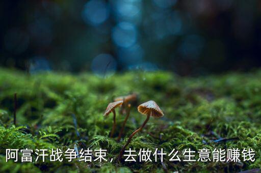 阿富汗戰(zhàn)爭結束，去做什么生意能賺錢
