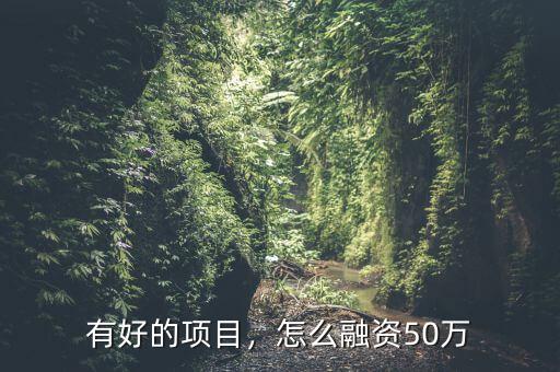 有好的項目，怎么融資50萬