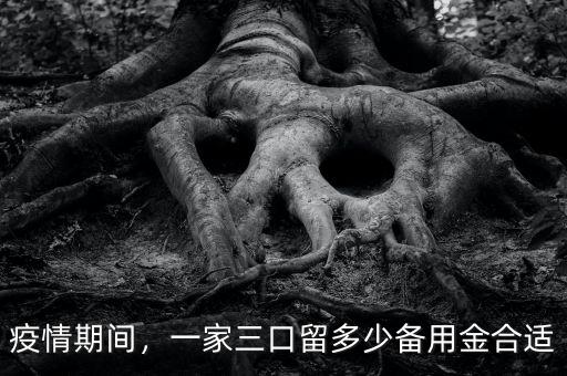 疫情期間，一家三口留多少備用金合適