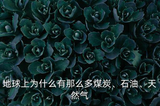 地球上為什么有那么多煤炭、石油、天然氣