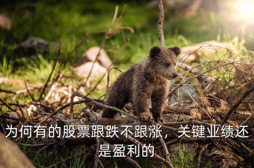 為何有的股票跟跌不跟漲，關鍵業(yè)績還是盈利的