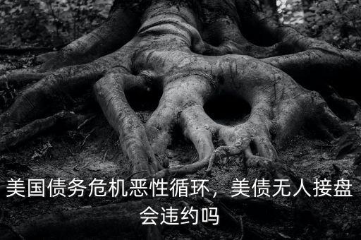 美國債務(wù)危機(jī)惡性循環(huán)，美債無人接盤會違約嗎