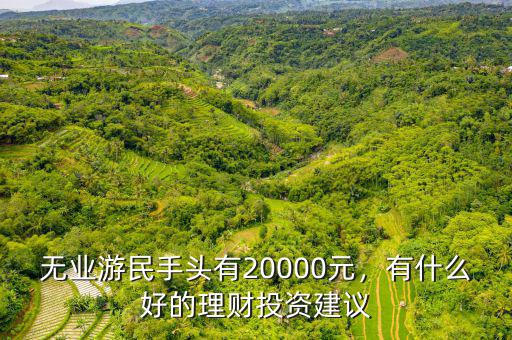 無業(yè)游民手頭有20000元，有什么好的理財(cái)投資建議