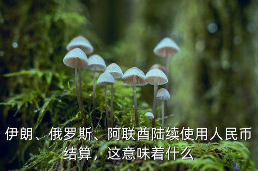 伊朗、俄羅斯、阿聯(lián)酋陸續(xù)使用人民幣結(jié)算，這意味著什么