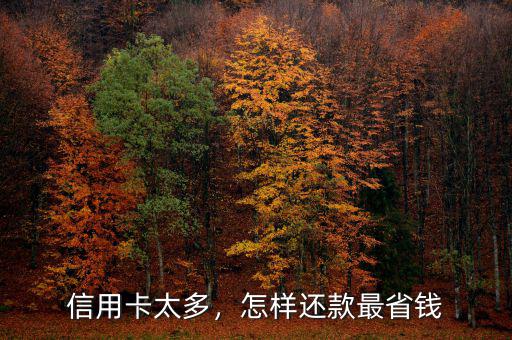 信用卡太多，怎樣還款最省錢