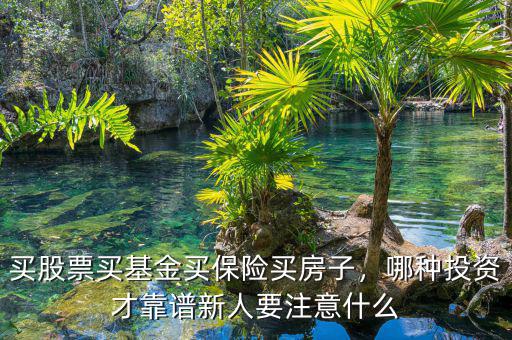 買股票買基金買保險(xiǎn)買房子，哪種投資才靠譜新人要注意什么