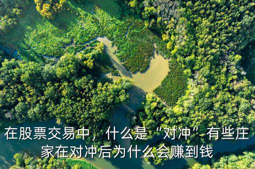 在股票交易中，什么是“對(duì)沖”有些莊家在對(duì)沖后為什么會(huì)賺到錢