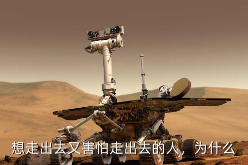 想走出去又害怕走出去的人，為什么