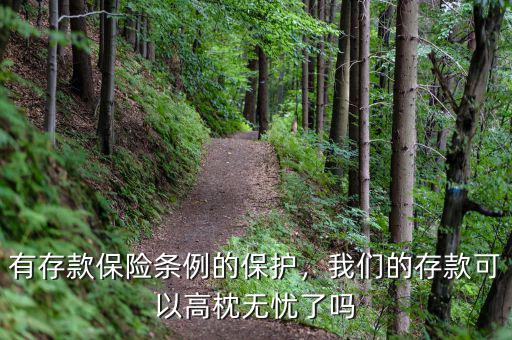 有存款保險條例的保護，我們的存款可以高枕無憂了嗎