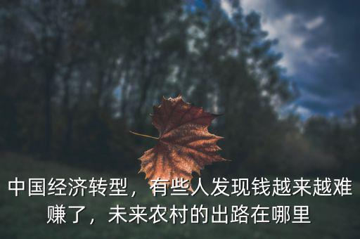中國經(jīng)濟(jì)轉(zhuǎn)型，有些人發(fā)現(xiàn)錢越來越難賺了，未來農(nóng)村的出路在哪里