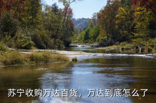蘇寧收購萬達(dá)百貨，萬達(dá)到底怎么了