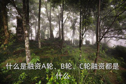 什么是融資A輪、B輪、C輪融資都是什么
