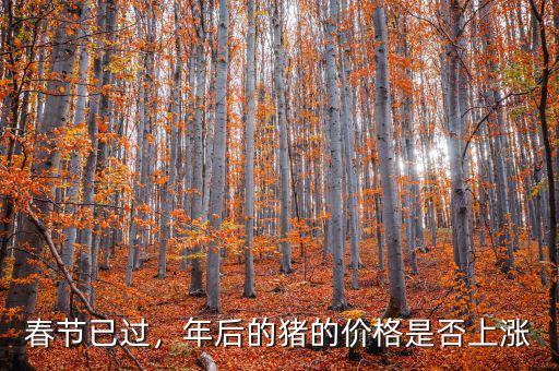 春節(jié)已過(guò)，年后的豬的價(jià)格是否上漲