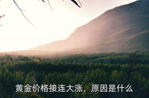 黃金價格接連大漲，原因是什么