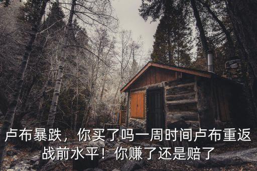 盧布暴跌，你買了嗎一周時間盧布重返戰(zhàn)前水平！你賺了還是賠了
