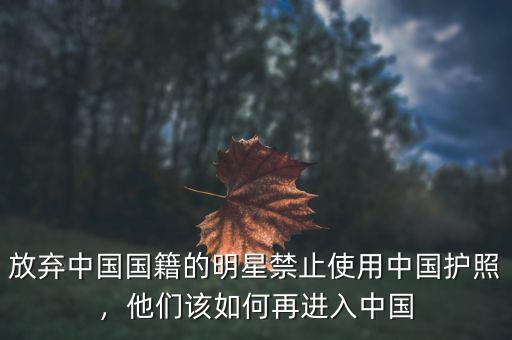 放棄中國國籍的明星禁止使用中國護照，他們該如何再進入中國