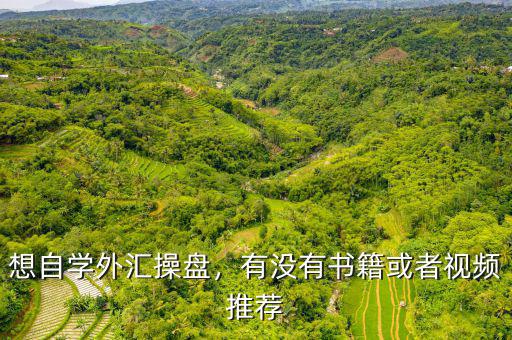 想自學(xué)外匯操盤，有沒有書籍或者視頻推薦