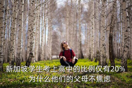 新加坡學(xué)生考上高中的比例僅有20%，為什么他們的父母不焦慮