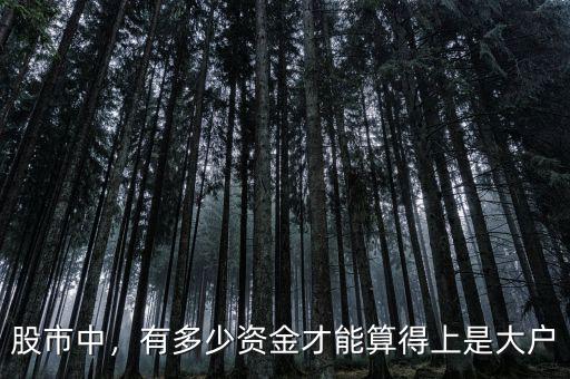 股市中，有多少資金才能算得上是大戶