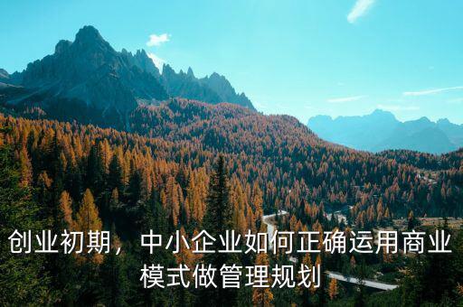創(chuàng)業(yè)初期，中小企業(yè)如何正確運(yùn)用商業(yè)模式做管理規(guī)劃