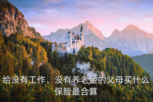 給沒有工作、沒有養(yǎng)老金的父母買什么保險(xiǎn)最合算